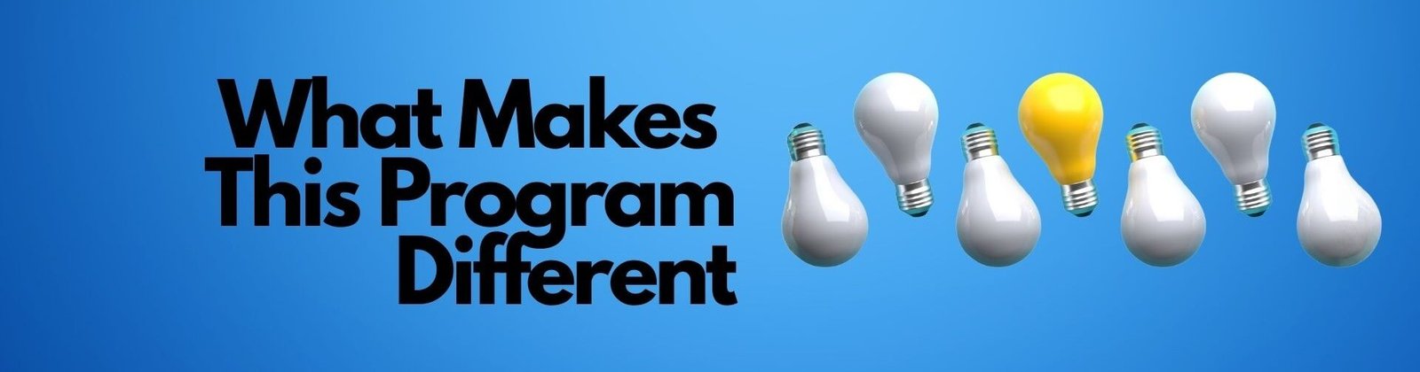 what makes this program different